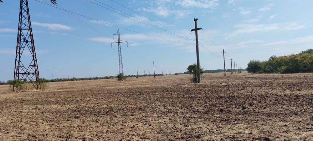 Teren de vanzare Alexandria/Nanov