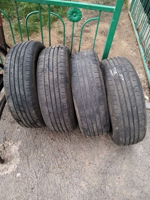 Жазғы дөңгелектер