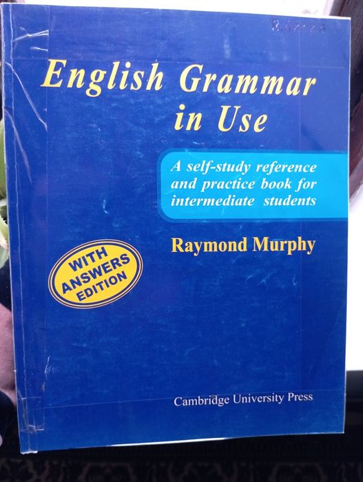 Blue  Murphy  english grammar in use