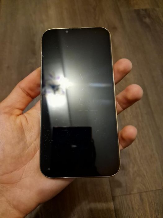 iPhone 13 Pro Max Gold