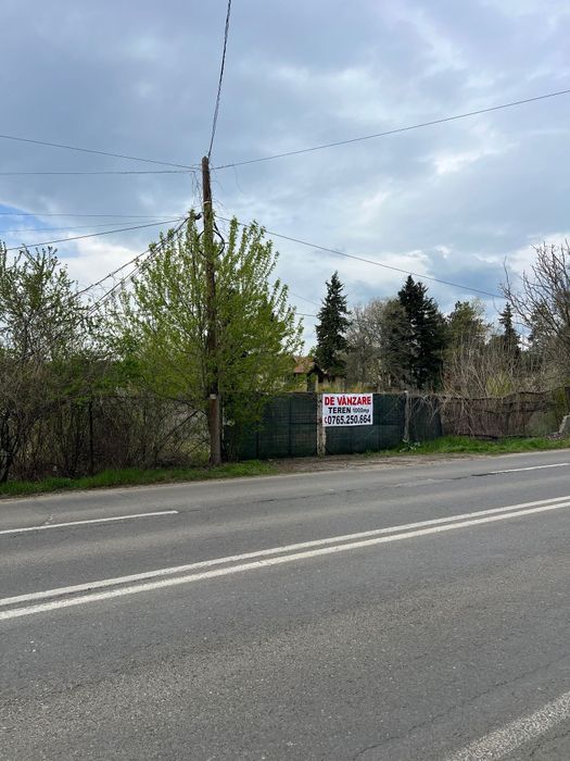 Teren Voluntari 1000mp