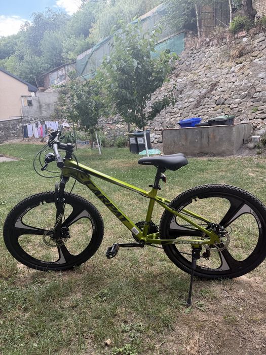 Bicicleta MTB de munte Carpat Evo