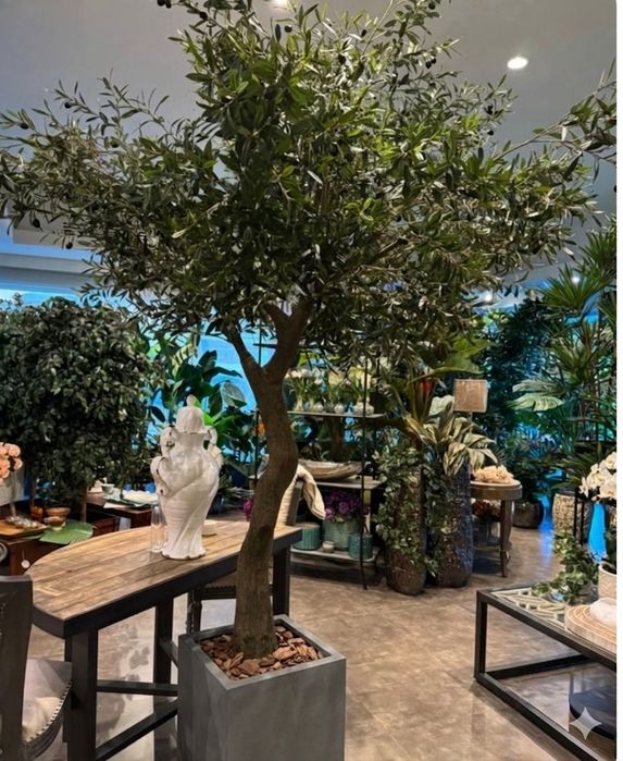 Maslini Mari frunze artificiale cu trunchi natural