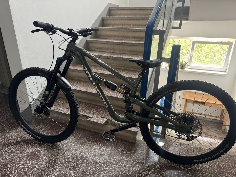 Polygon Collossus N9 L 2024