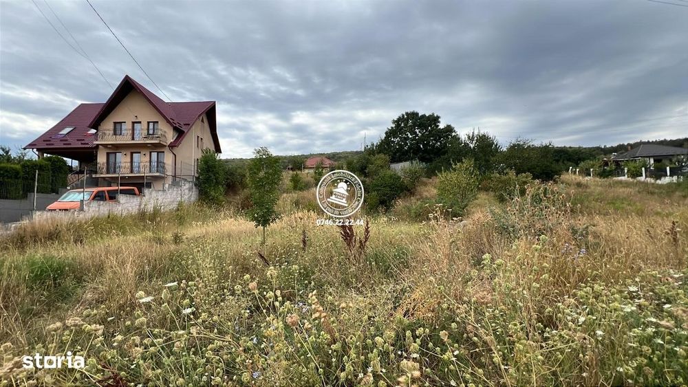 Teren 1000mp intravilan de vanzare Tomesti