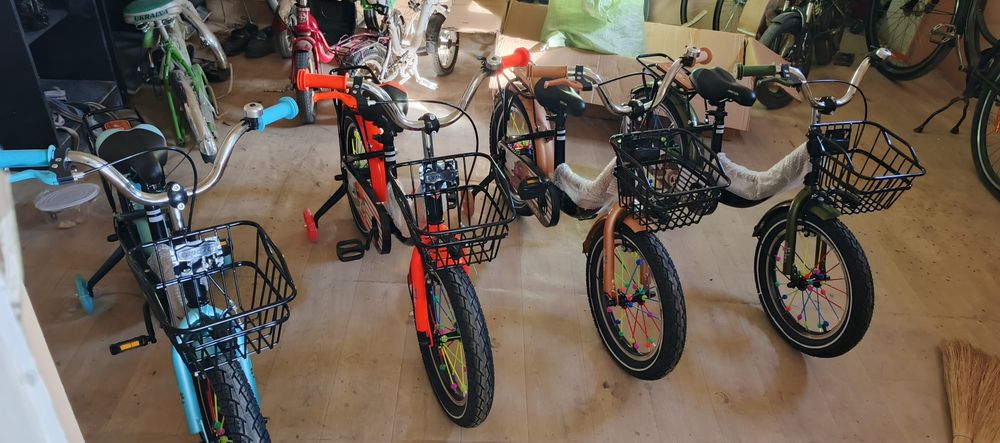 Велоспет velosped