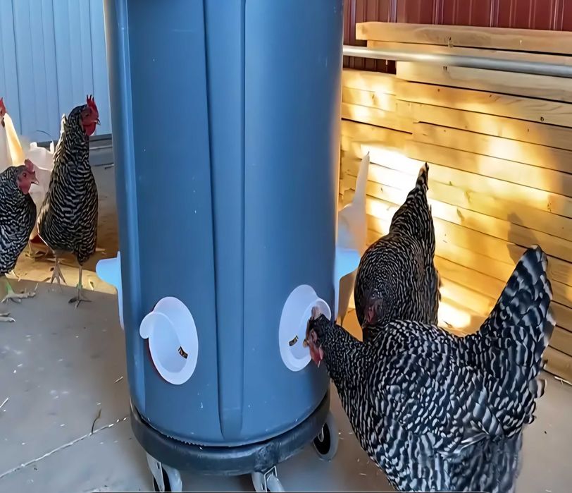 Хранилка за кокошки против пилеене на храната