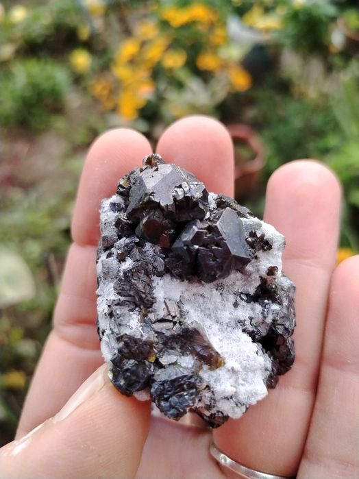 Сфалерит клеофан с кварц от Мадан