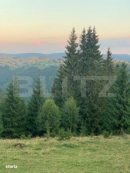 Teren intravilan, front la strada, 3321mp, utilitati, Marisel