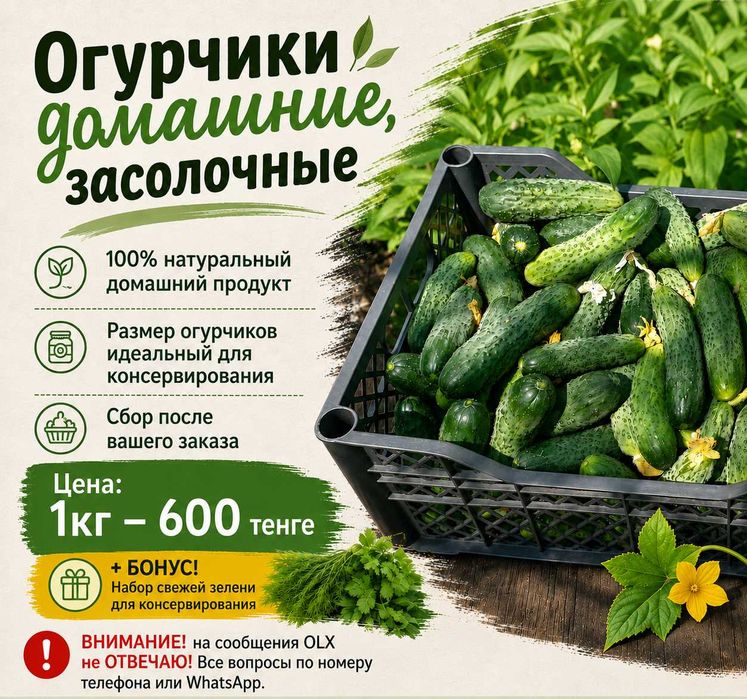 Домашние засолочные огурцы