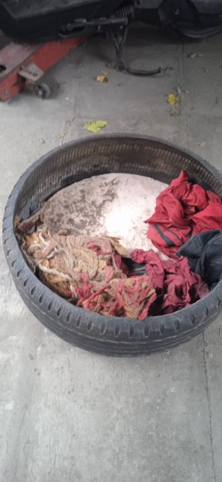 для собаки кубло,гнездо