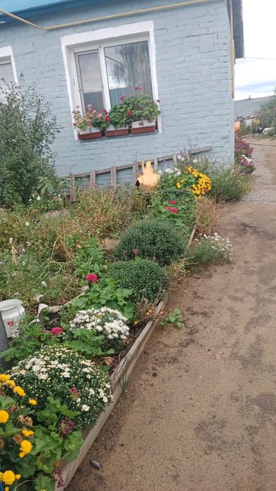 Продам дом в посёлке Перцевка.