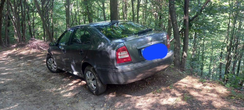 Skoda   Octavia  1    1,6   benzina