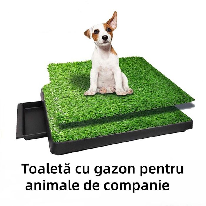 Кучешка тоалетна с изкуствена трева.