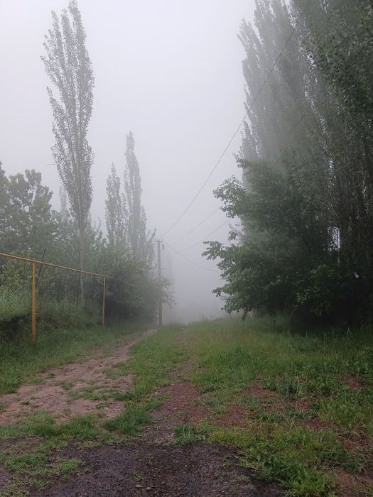 Kumiwkonda yer bor 12 sotik sotiw srochna