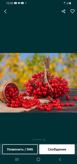 Продам  ледоступы с щипами