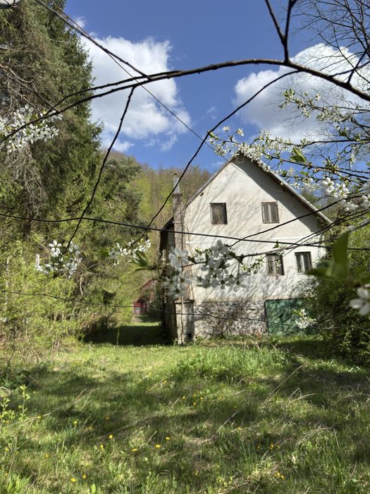 Casa de vanzare la Boga