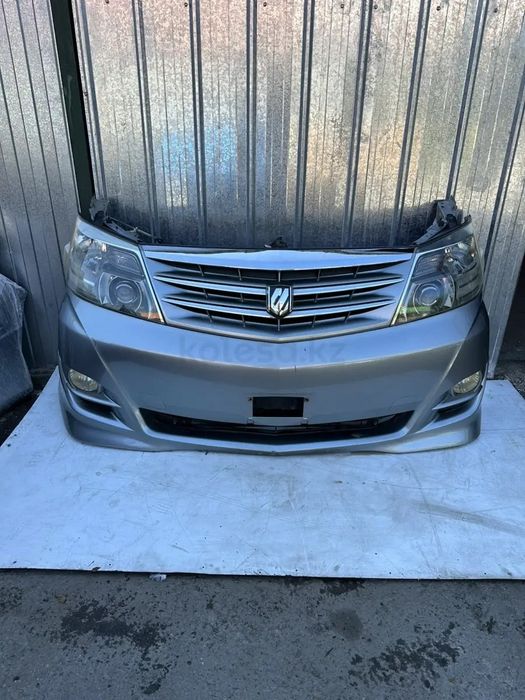 Ноускат для Альфард