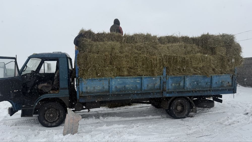 Продам сена в тюк лугавоие