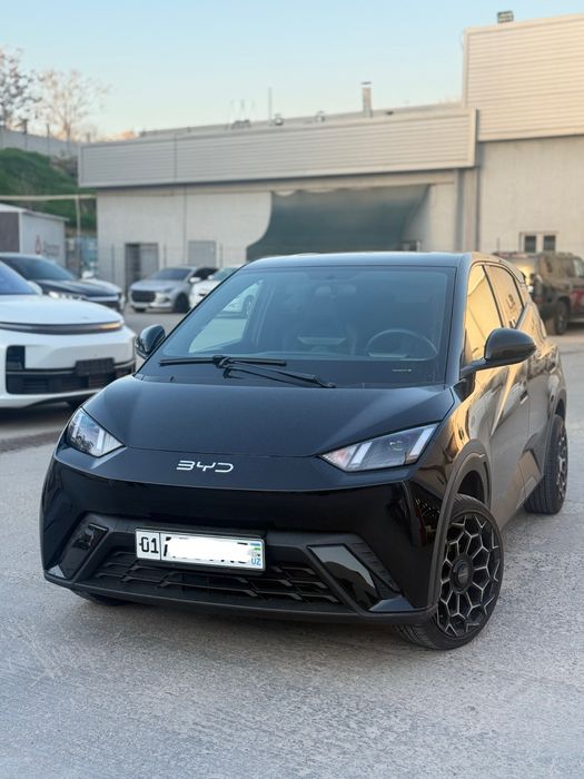 Byd seegull 2024 toza