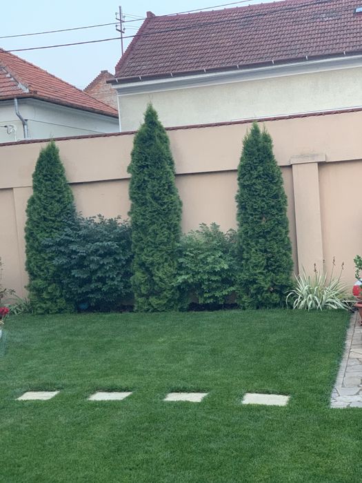 Vand casa centrala Oradea cu 5 cam. si garaj 2 auto
