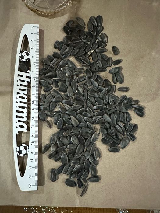 Ячмень.Платный чат!Все корма.