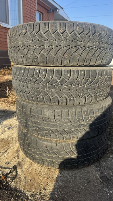 Зимны ризина.            .