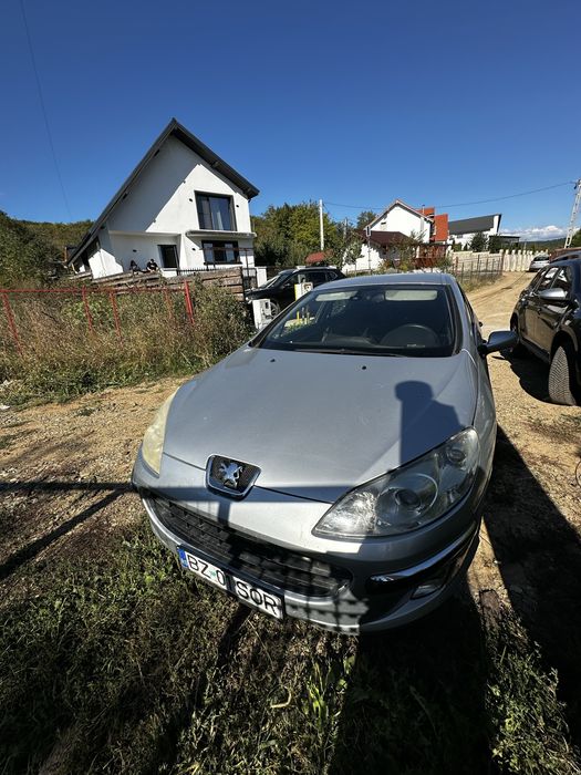 PEUGEOT 407