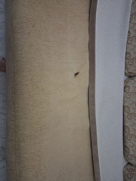 Продам диван в заль