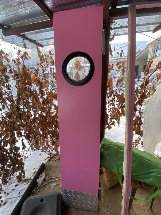 Дверь мятниковая