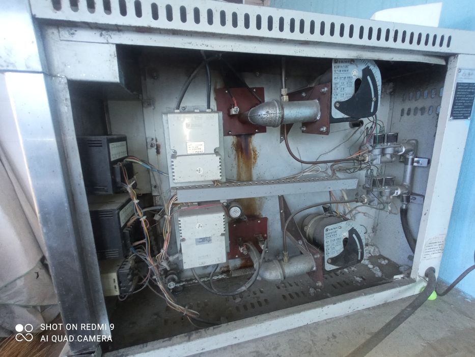 Pech  gazlik,2 listlik