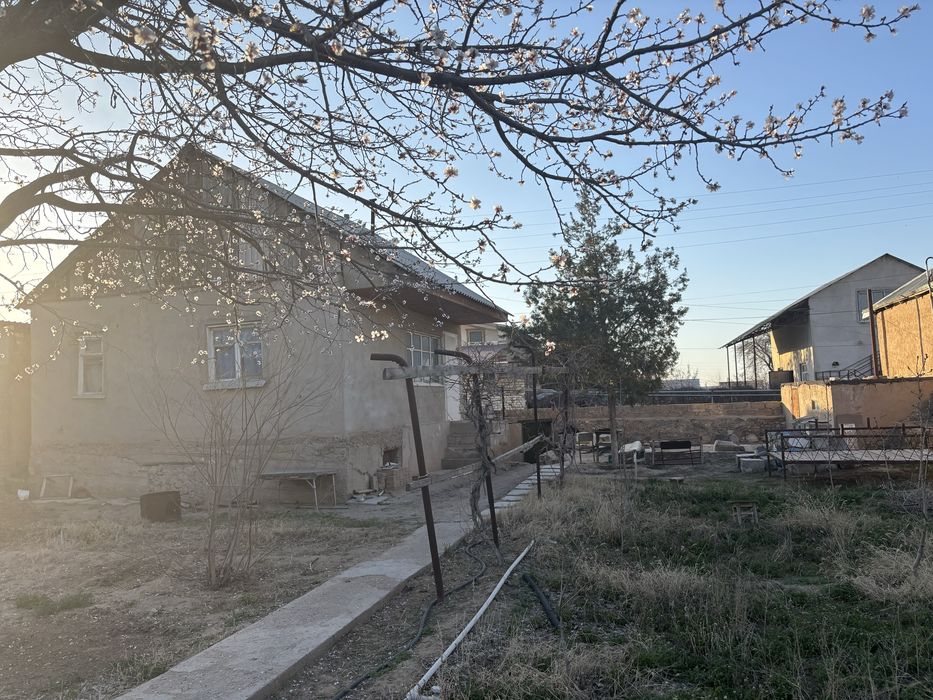 Дача сотилади ОАЗИСДА