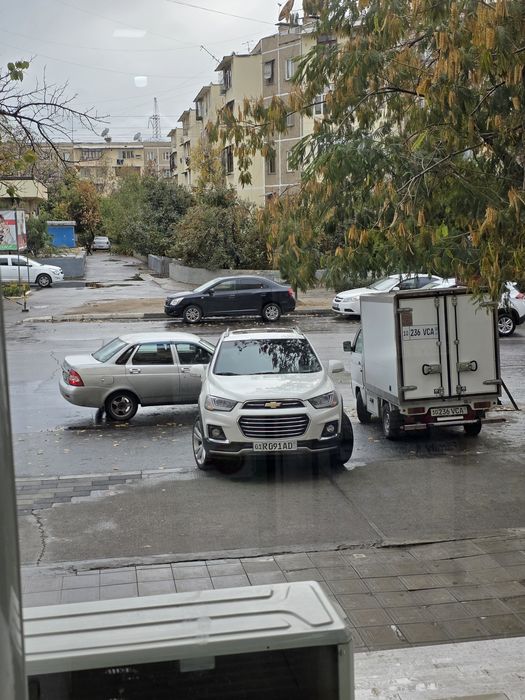 Kaptiva sotiladi 2013 beliy jemchuk propanda