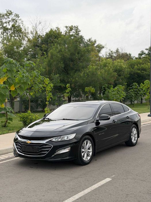 Malibu Premier Full
