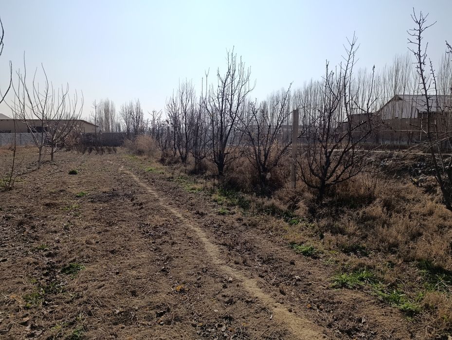 17 sotikli noturar maydon