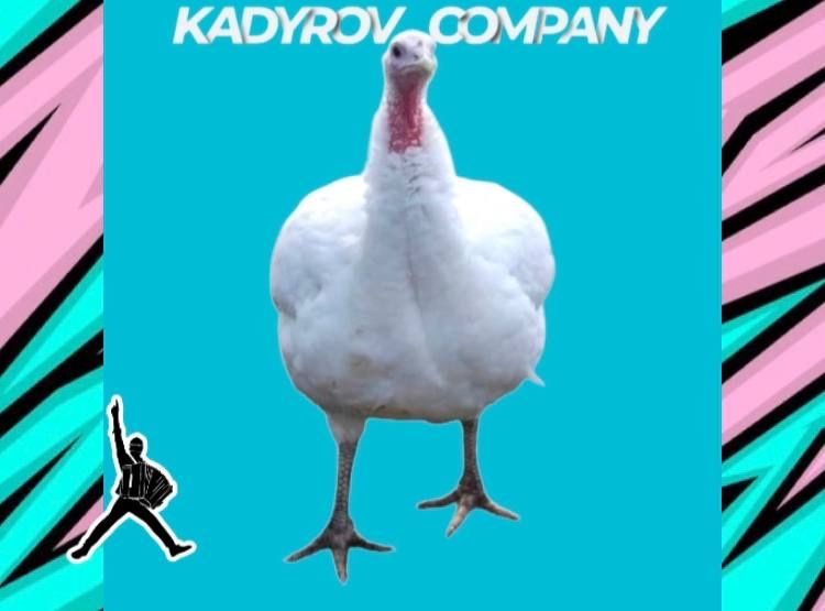 Инкубационные яйца индюков Хайбрид Конвертер успех в птицеводстве!