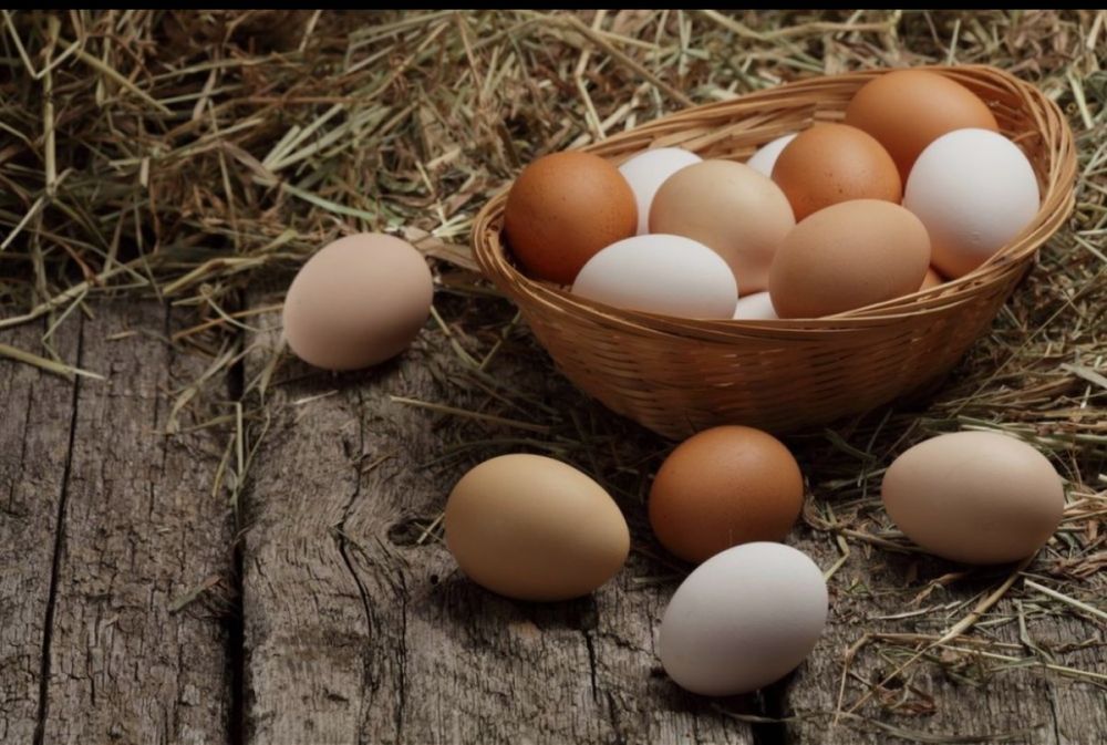 Ouă proaspete de casă