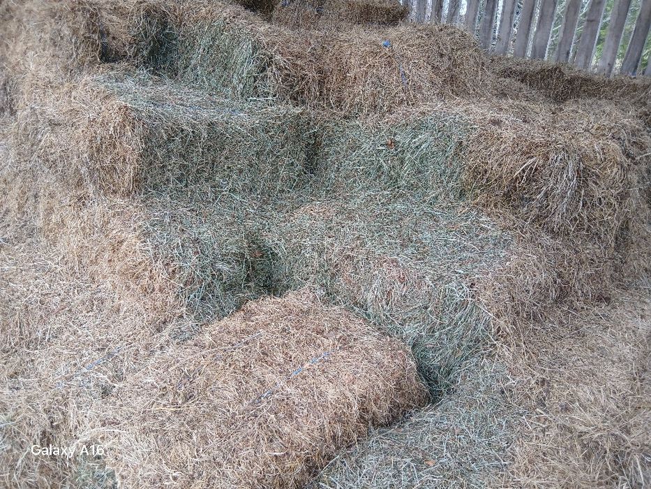 Baloti de fâ si otavă