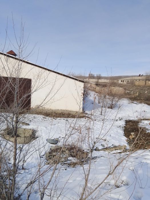 Продам базу рядом с Хоргосом