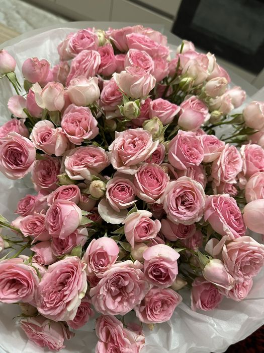 Кустовые розы Срочно