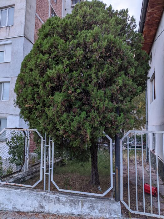 Продава се Къща в Гоце Делчев - 180 кв.м за 723 €/кв.м - Снимка #2