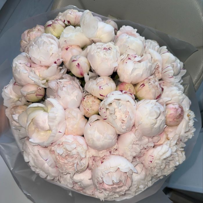 Свежие Пионы, цветы