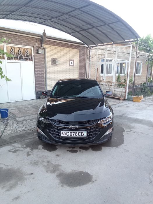 Малибу хл 2025 15-январь