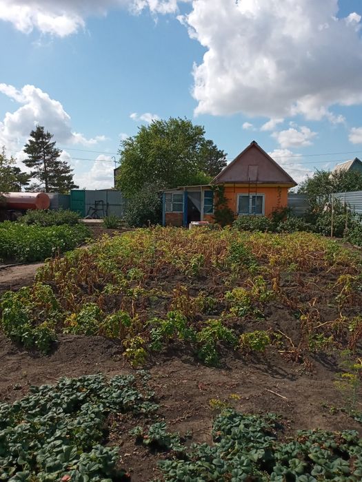 Продам дачу в чапаево