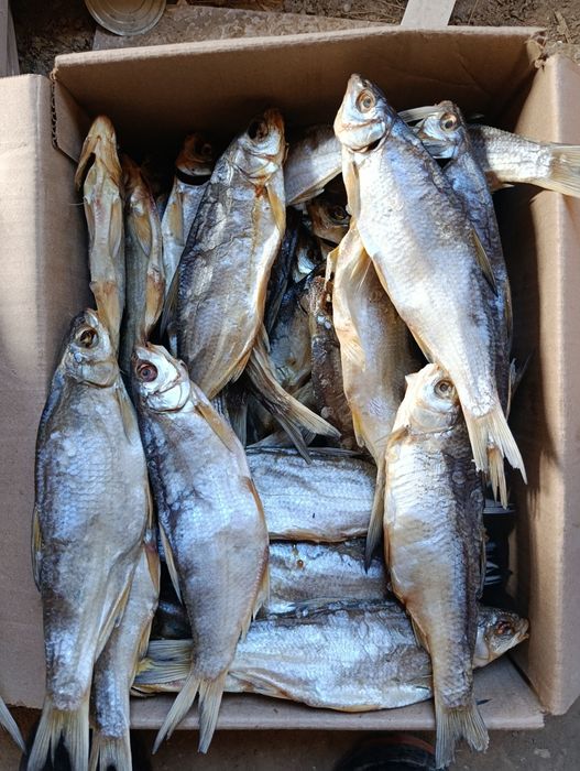 Сушенная рыба , вяленная