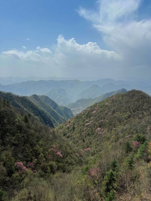 Репетитор по китайскому языку для взрослых и детей