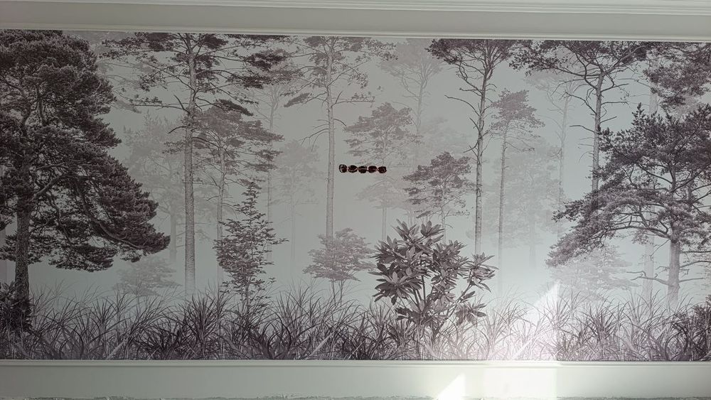 3D Фотообои – интерьер премиум-класса по доступной цене!