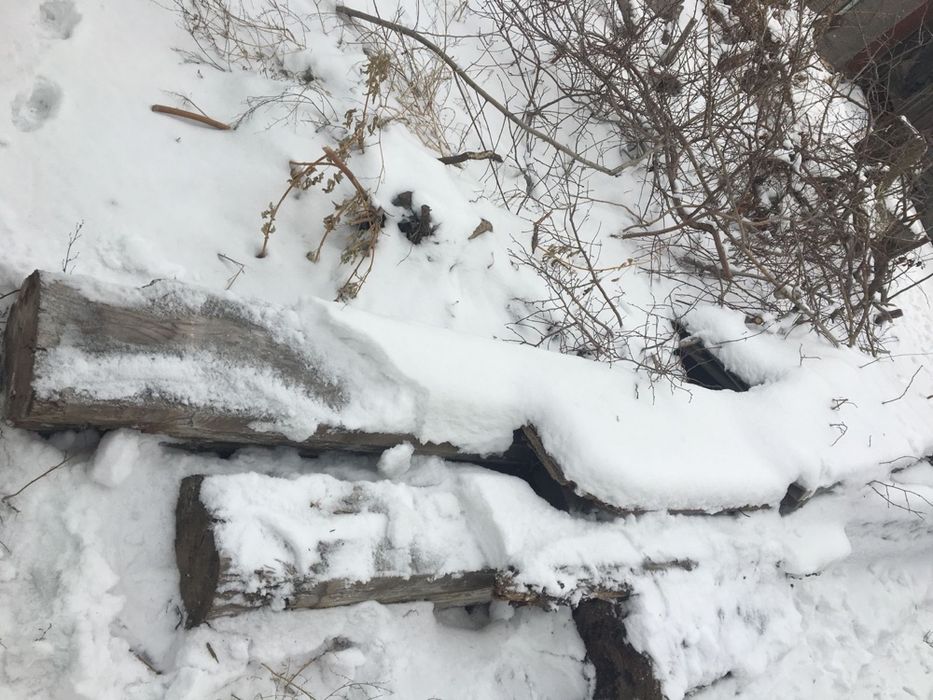 Продам бревна