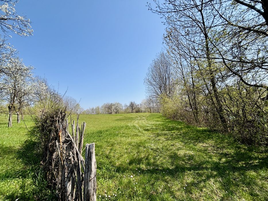 Teren 3.800 mp | Pucioasa, Dâmbovița | Natură, liniște și acces dublu