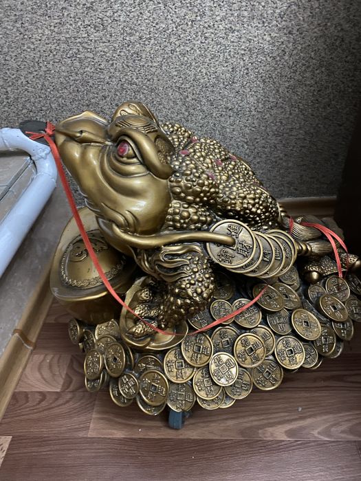 Большая жабка приносит большие бабки!